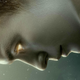This character creepily looking down at my blog is the star of Raised by Wolves.